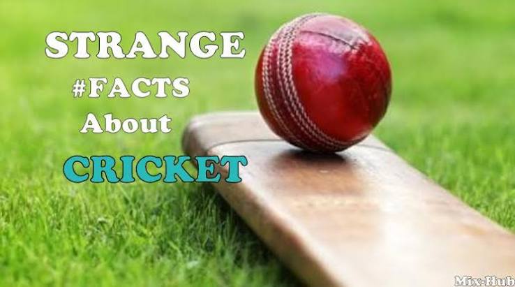 Shocking cricket facts